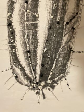 Sudadera Bimba y Lola Blanca Cactus