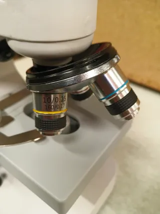 Microscopio Biológico Blanco