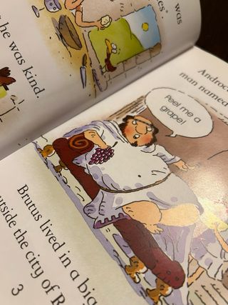 Androcles And The Lion - Usborne First Reading ...