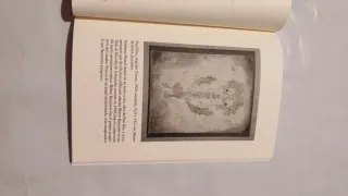 ¡Indignaos!: Un alegato contra la indiferencia ...