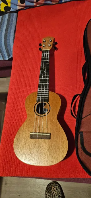 Ukelele Canglewood con funda