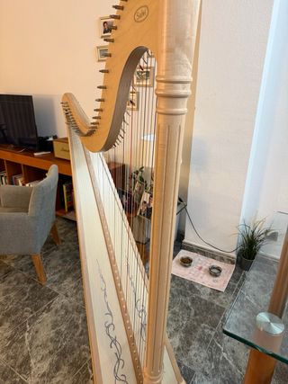 Arpa celta Salvi Ana