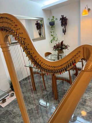 Arpa celta Salvi Ana