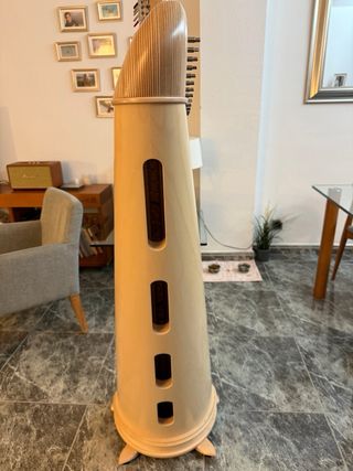 Arpa celta Salvi Ana