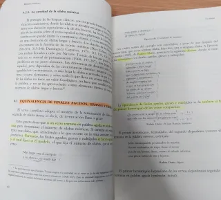 Lote libros ESTILÍSTICA Y MÉTRICA ESPAÑOLAS (UNED)