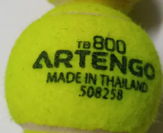 21 Pelotas Tenis Artengo TB 800