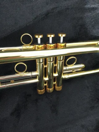 Trompeta Dorada estilo fides