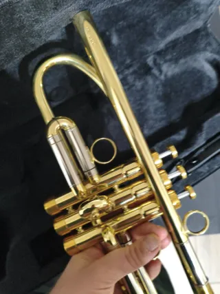 Trompeta Dorada estilo fides