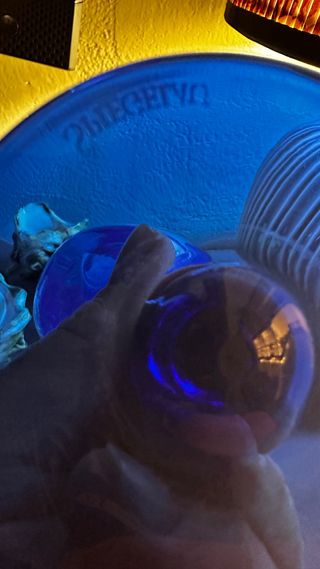 Calici acqua cristallo Spiegelau blu