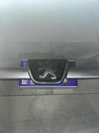 Moldura Golpe Peugeot 206