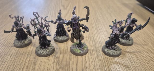 WH40K - Ejército Drukhari COMPLETO y PINTADO