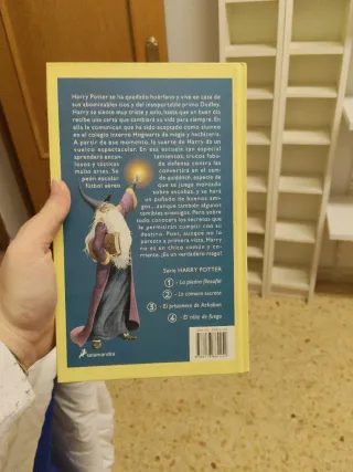 Harry Potter Y La Piedra Filosofal