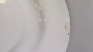 Piatto Richard Ginori floreale