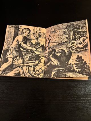 Colección libros de horóscopo   Años 70