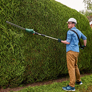 Tagliasiepi telescopico Bosch