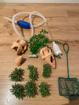 Accessori per Acquario: Piante, Decorazioni e Rete