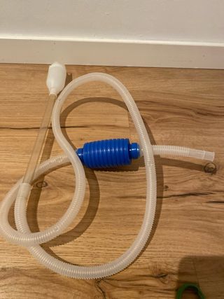 Accessori per Acquario: Piante, Decorazioni e Rete