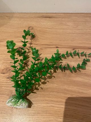 Accessori per Acquario: Piante, Decorazioni e Rete