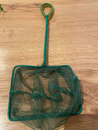 Accessori per Acquario: Piante, Decorazioni e Rete