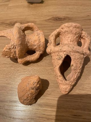 Accessori per Acquario: Piante, Decorazioni e Rete