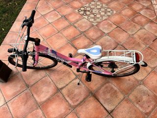 Bicicleta Ferrini Camila Rosa 24