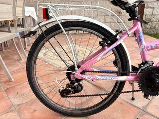Bicicleta Ferrini Camila Rosa 24