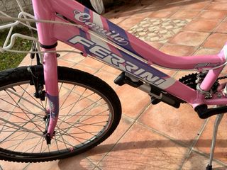 Bicicleta Ferrini Camila Rosa 24