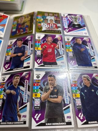 Colección Cromos Adrenalyn 2023-24 y taco de repes