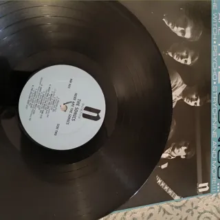 The Sonics Here Are LP Vinilo