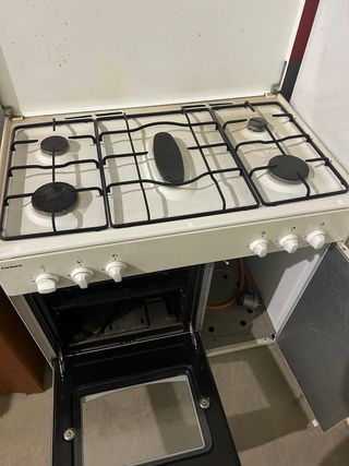Cocina de gas con horno