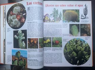 El libro gordo de Petete, cinco tomos