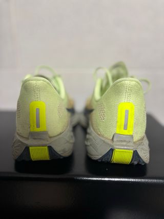 Nike Pegasus Plus Zapatillas Running Verde/Beige