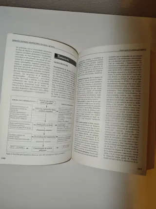 Medicina intensiva respiratoria principios y pr...