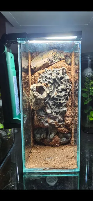 Cristales para mini terrario