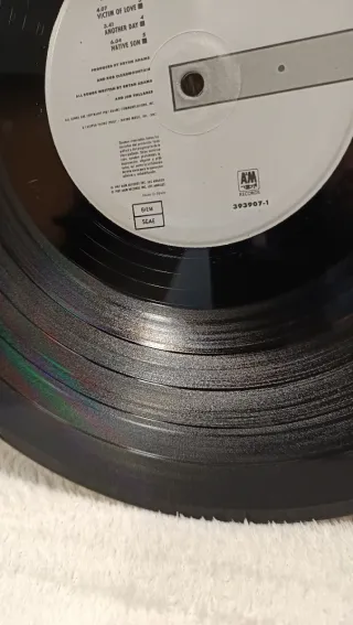 Vinilo Bryan Adams - Into The Fire (1987)Original