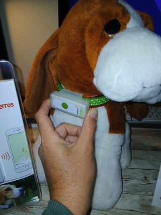 Localizador GPS Weenect para perros