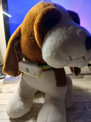 Localizador GPS Weenect para perros