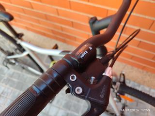 Bicicleta Riverside 28" Impecable