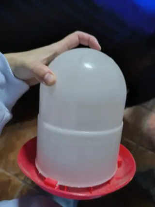 Comedero para gallinas