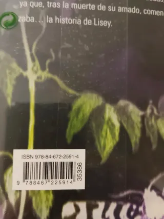 La Historia De Lisey