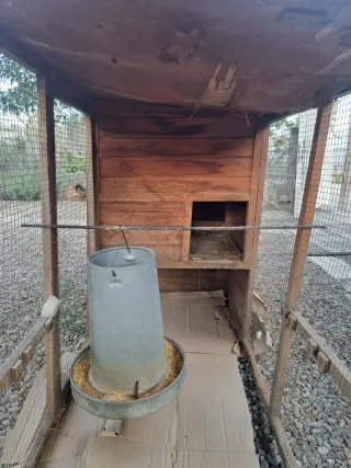 Gallinero de madera y metal