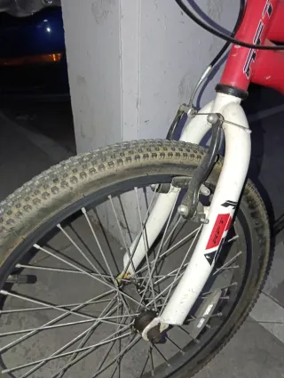 Bicicleta Infantil 20 Pulgadas Roja