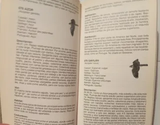 La Guía De Incafo De Las Aves De La Península I...