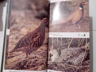 La Guía De Incafo De Las Aves De La Península I...
