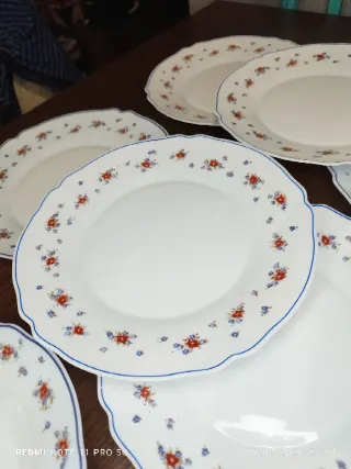 12 Platos Arcopal Porcelana Francesa Flores