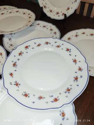 12 Platos Arcopal Porcelana Francesa Flores