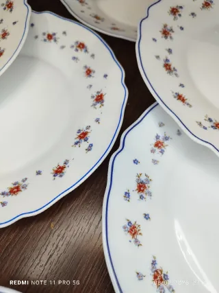 12 Platos Arcopal Porcelana Francesa Flores