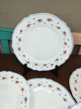 12 Platos Arcopal Porcelana Francesa Flores
