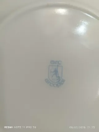 12 Platos Arcopal Porcelana Francesa Flores