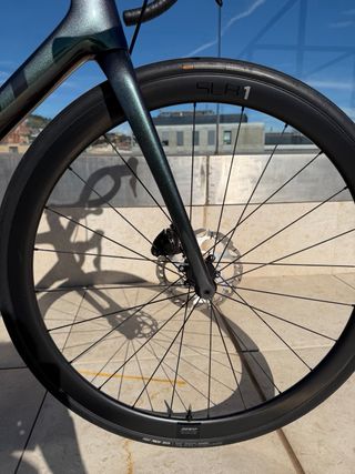 GIANT TCR Advanced Pro Disc 1 Di2 2024, Size: L